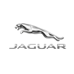 Jaguar Jaguar